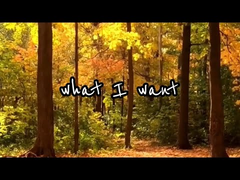 What I want wants me | Affirmations for manifesting your desires