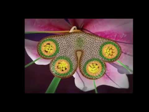 Sexual reproduction in flowering plants #bio #study #motivation