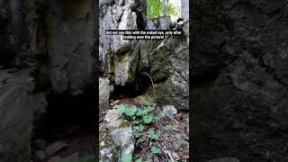 Believe in dark , or demonic creatures? #ghostlore #darkcreatures #paranormalist