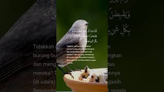 surah al Mulk ayat 18 sd 20