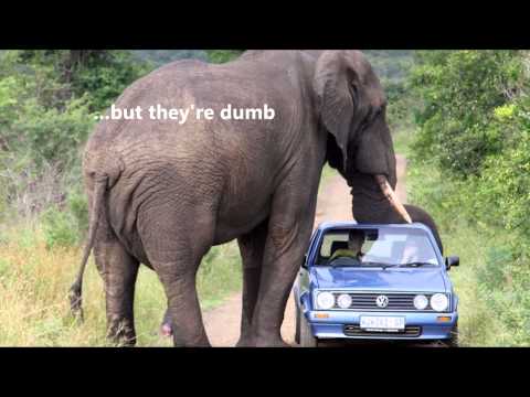 At The Zoo/ Simon & Garfunkel/ (1967)