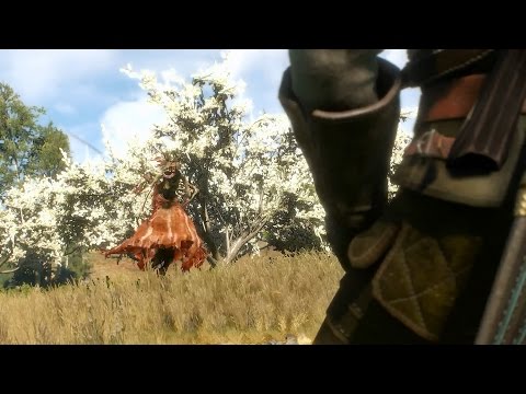Let's Play The Witcher 3 Hard Mode Episode 50: The White Lady, Noonwraith