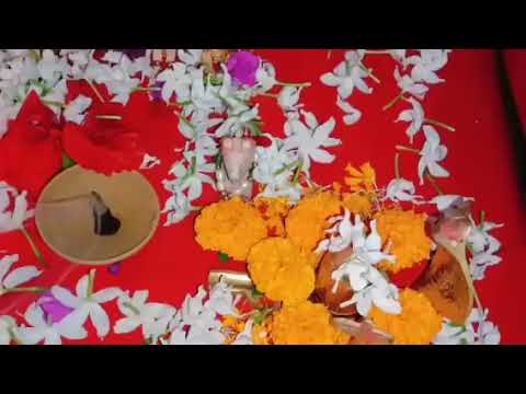 #8_मार्च_शिवरात्रि_विशेष_पूजा_प्रदीप_मिश्रा