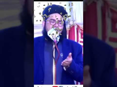 nasir madni mashwara to shahbaz sharif, regarding Dollar kameti,1billion usd kameti, tatami bye imf