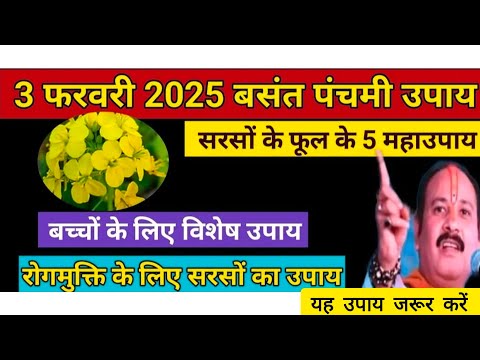 3 फरवरी 2025# बसंत पंचमी सरसों के फूल के 5 महा उपाय #pradeepmishra #upay #religion # Basant panchmi🔱