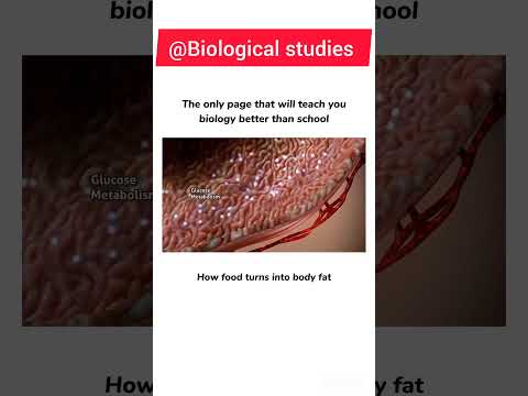 #neet #aiims #mbbs #medical #biology #doctor #neetpreparation #medicalstudent #jee #neetug #neetexam