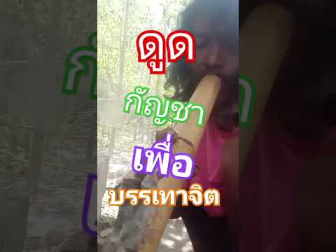 บรรเทาจิต