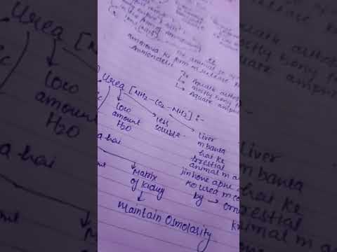 NEET LOVER❤ #neet #neet2023 #motivation #aiimsdelhi #aiims #shortnotes #notes_making