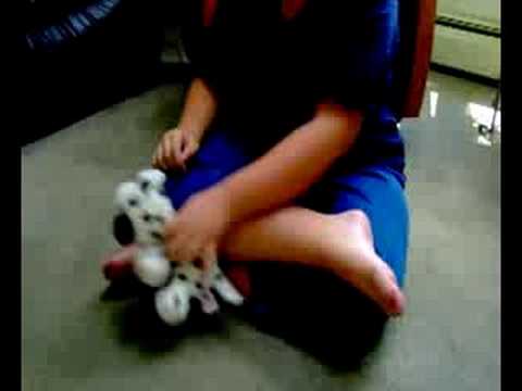 cow vs. dog