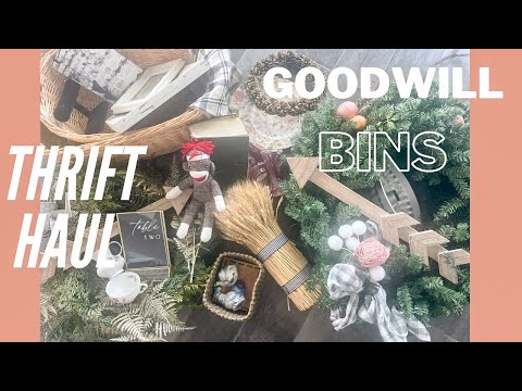 Thrift Haul | Goodwill Bins | Shop to resell