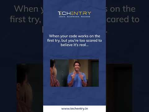 That Moment When Your Code Works on the First Try 😱 | #techentry