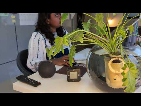Study With Me | 1 Hour Deep Focus | Real-Time Lo-Fi Background | my fish will keep us company too