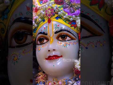 iskon vrindavan darshan #harekrishna #radheradhe#vrindavan#iskon#srilaprabhupada#devotion#radhikadas