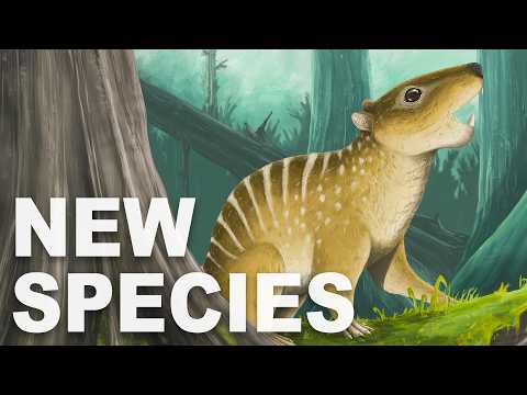 New Razor-Toothed Mammal Discovered from the Age of Dinosaurs
