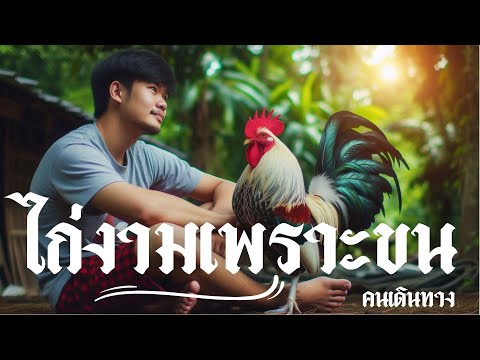 ไก่งามเพราะขน - AI คนเดินทาง