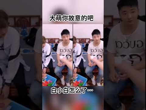 可怜的白小白 #大萌 #白小白 #白糖321