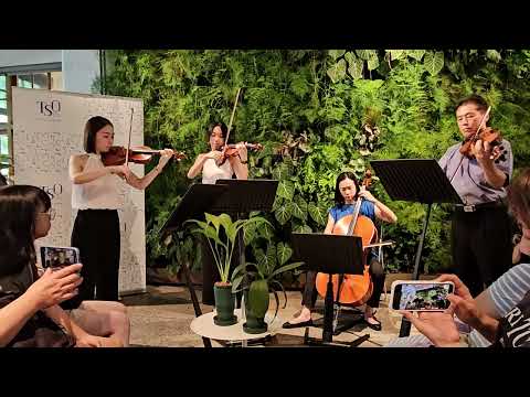 20240803 TSO臺北市立交響樂團 卡農