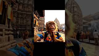 #shortsfeed #trending #viralmonkeyvideo #viralmonkeyreels #shortvideo #viralmonkey #shorts #short