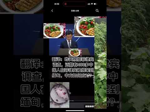 年底了，殺豬了，當一隻快樂的豬很OK，但一定要記得躲刀子，畢竟，誰都指望不上😆尤其是台灣人太單純#緬北詐騙 #修行 反詐宣傳 #台灣