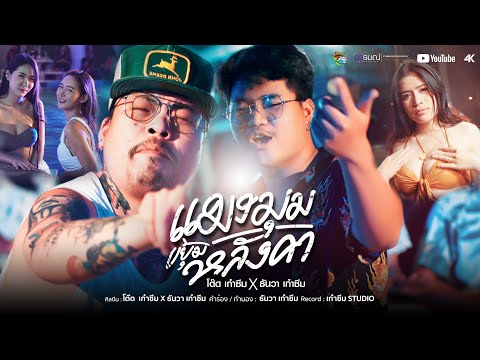 แมงมุมขยุ้มหลังคา - โต๊ด เก๋าซึม Feat. ธันวา เก๋าซึม (Official MV)