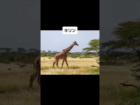 動物の寝顔 #shorts #wisdom
