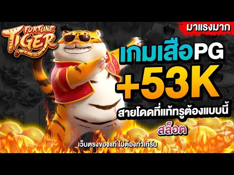 สล็อตpg  เว็บตรงไม่ผ่านเอเย่นต์ 2025 : พลังเสือโชคดีแตกหนักจริงไหม มาดูกัน!