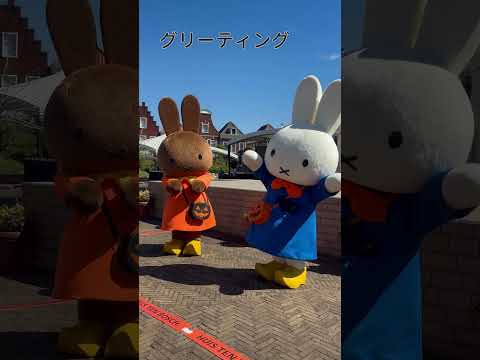 かわいいがいっぱいのハロウィーン。ここはどこでしょう？