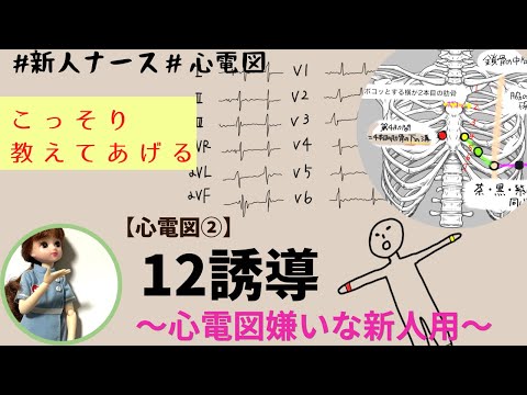 【心電図読み方②】新人ナース用！12誘導を簡単に理解する★#看護師#勉強
