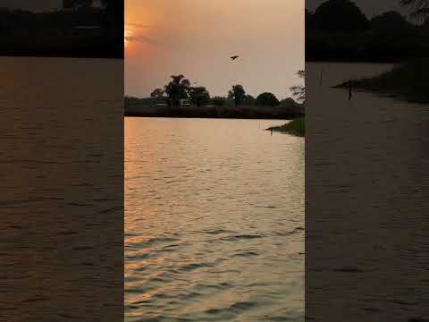 #lakeview #nature #water #birds #evening #life #sunset #dmax #eveningfeel