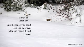 Beehive Hidden in a Snowdrift