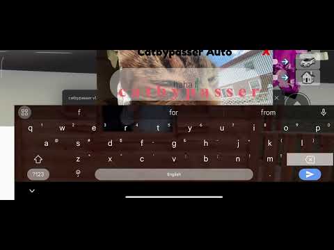 CAT BYPASSER (CHAT BYPASSER 2024 NO KEY)