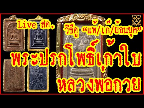 Liveสด วิธีดูพระ #ปรกโพธิ์เก้าใบ #หลวงพ่อกวย พระแท้/พระย้อนยุค/พระเก๊/พระแต่งผิว,ถูกขูดขัด,แต่งเกรา