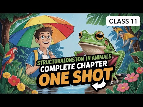 Complete STRUCTURAL ORGANISATION IN ANIMAL ONE SHOT 🔥  IN 9 MINUTES | CLASS 11 BIOLOGY NEET 2026