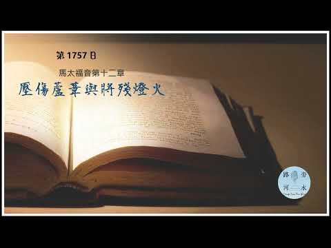 【喝路旁的河水】：第1757日（馬太福音第12章：壓傷蘆葦與將殘燈火）