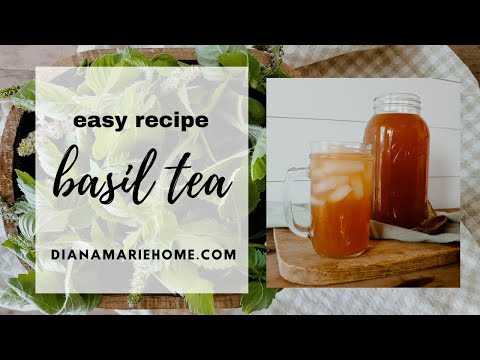 How to Make the Best Basil Iced Tea Infusion Recipe (An EASY Basil Tea Recipe)
