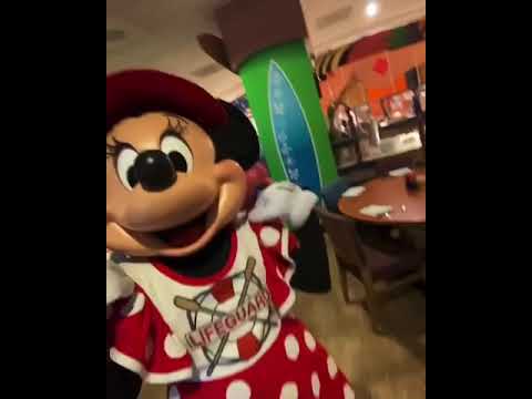 ミニー大事なものを盗まれた