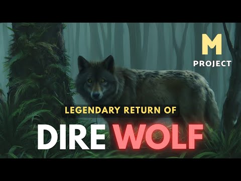 The Legendary Return of "DIRE WOLF" | Project M |