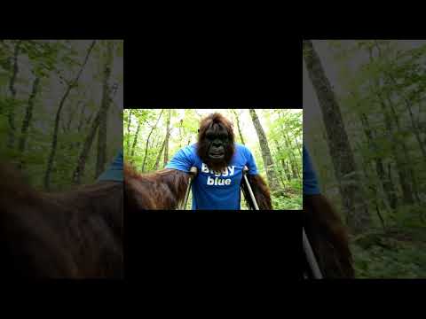 Bigfoot & Bonnie blue #funny #ai #comedy #gorilla #memes #downz #bonnie