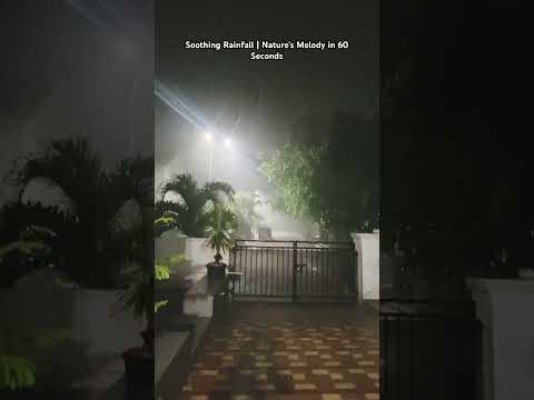 Let the rain wash away your stress. #rainsounds  #natureshorts  # #barish  #asmr  #short #song