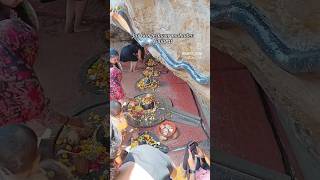 gujarat jai Gangeshwar mahadev #jai bholenath #trending #shorts #subscribe #@sunitashivikitchen