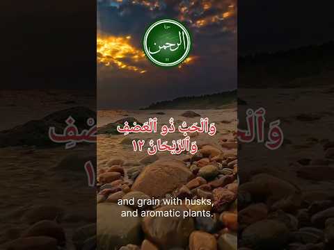 "Beautiful of Surah: Transform Your Life 🌙✨"Islamic reminder, power of Surah,  Islamic short video