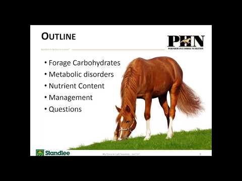 My Horse Is Carb Sensitive, Isn’t It?