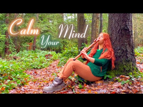 Peace Within Meditation - Natural Stress Relief Sound Healing - Relaxing Native American Stule Flute