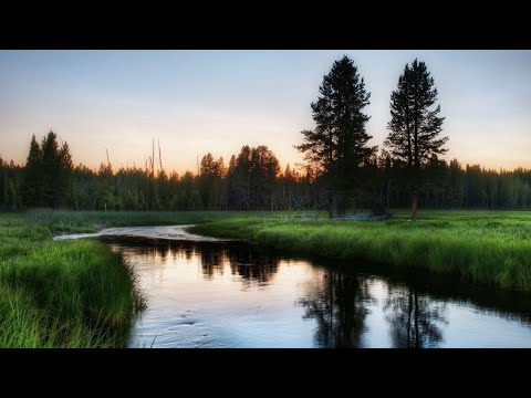 Relaxing Music, Meditation Music, Sleeping Music, Yoga Music, Spa Music, Study Music, Insomnia ☯010