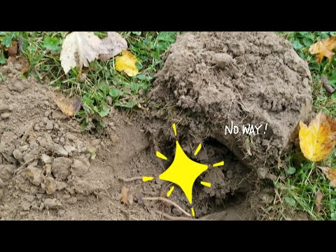 A mixed bag.... metal detecting old coins and relics.