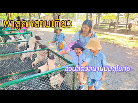 พาลูกหลานไปเที่ยวสวนสัตว์สนามบินสุโขทัย#k-ken329