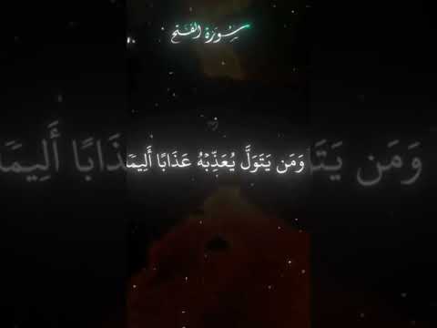 #قرآن #آية_الكرسي #سورة_البقرة #الطمأنينة #السكينة #الله #short #quran #islam #fyp #الراحة_النفسية