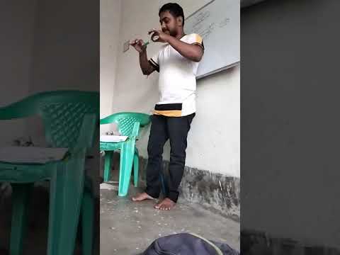 Object with different masses fall in same time from same hight. #scinceexperiments /#physics