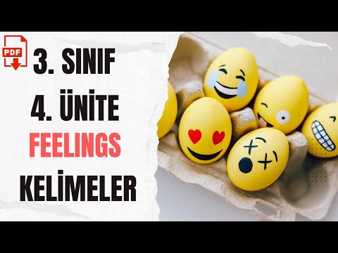 3. SINIF İNGİLİZCE 4. ÜNİTE FEELINGS KELİMELER - TEST + PDF