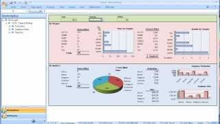 BizNet CCH Practice Management Excel Reporting Video